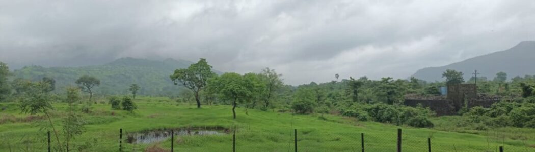 view from kandhroli park 2