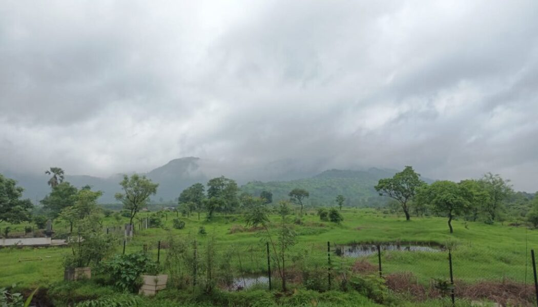 view from kandhroli park 3